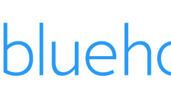 Bluehost Logo