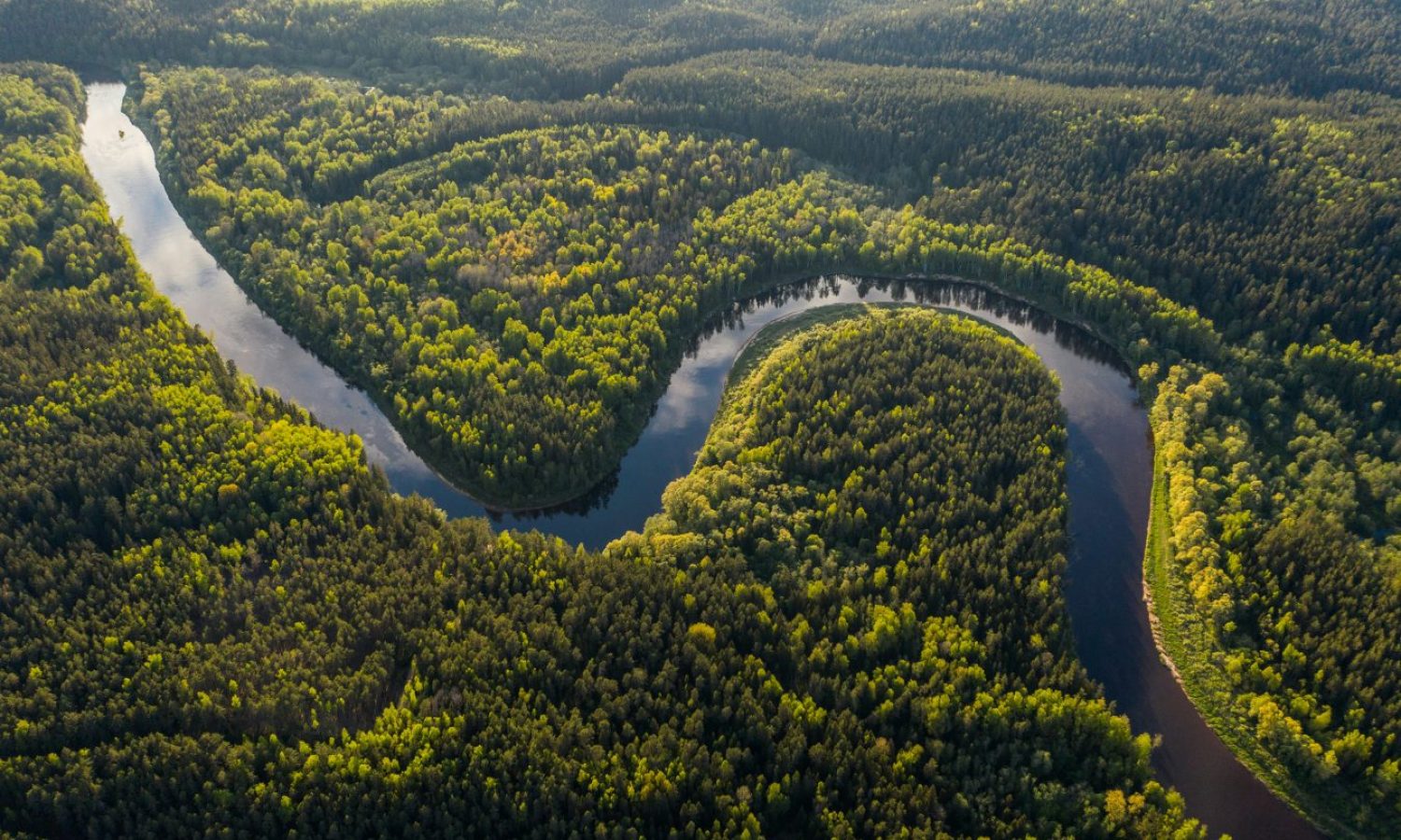 Amazon Rainforest (Photo by Ivars Utināns, Unsplash)