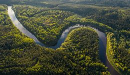 Amazon Rainforest (Photo by Ivars Utināns, Unsplash)