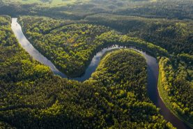 Amazon Rainforest (Photo by  Ivars Utināns, Unsplash)