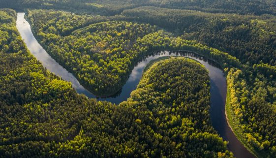 Amazon Rainforest (Photo by Ivars Utināns, Unsplash)