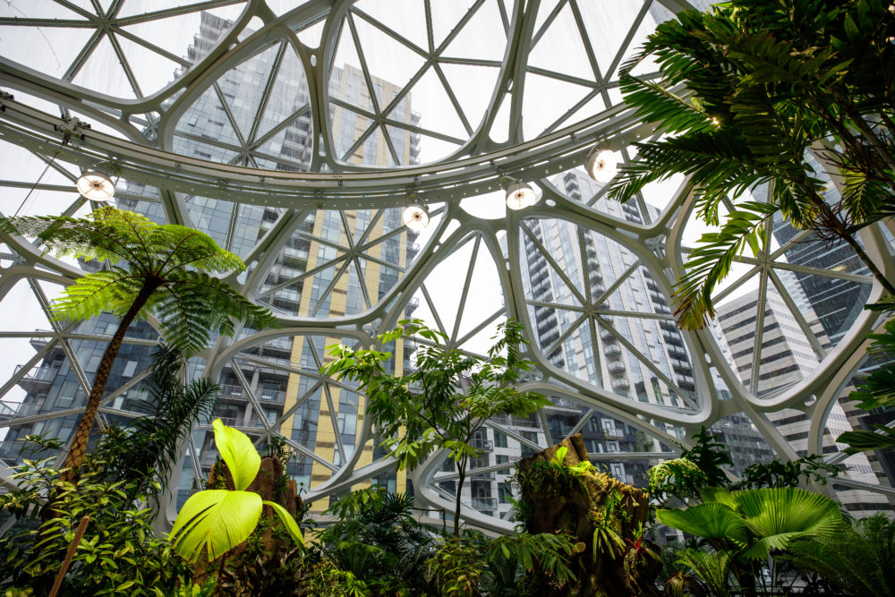 Amazon HQ - The Spheres - Interior