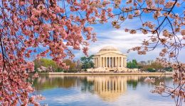 Washington DC Spring