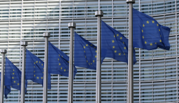 European Union Flags European Union Flags