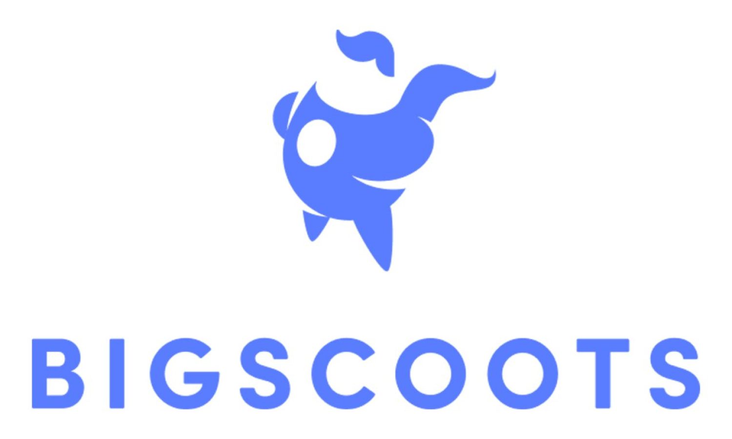 Bigscoots Logo for Feature