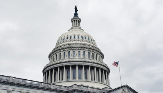 U.S. Capitol Building Dome