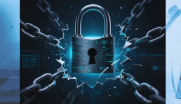 Encryption at Risk Key Image